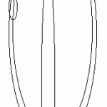 kaktus1