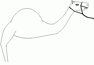 tava4