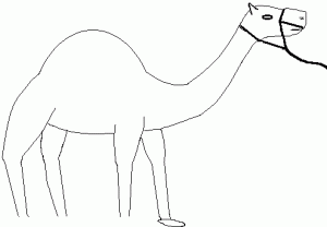 tava6