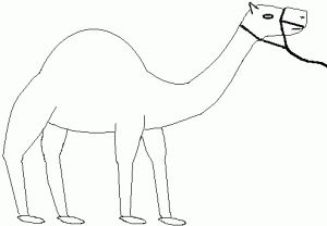 tava7